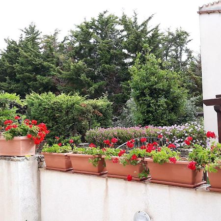 Apartmán Villino Messina San Vito Lo Capo Exteriér fotografie
