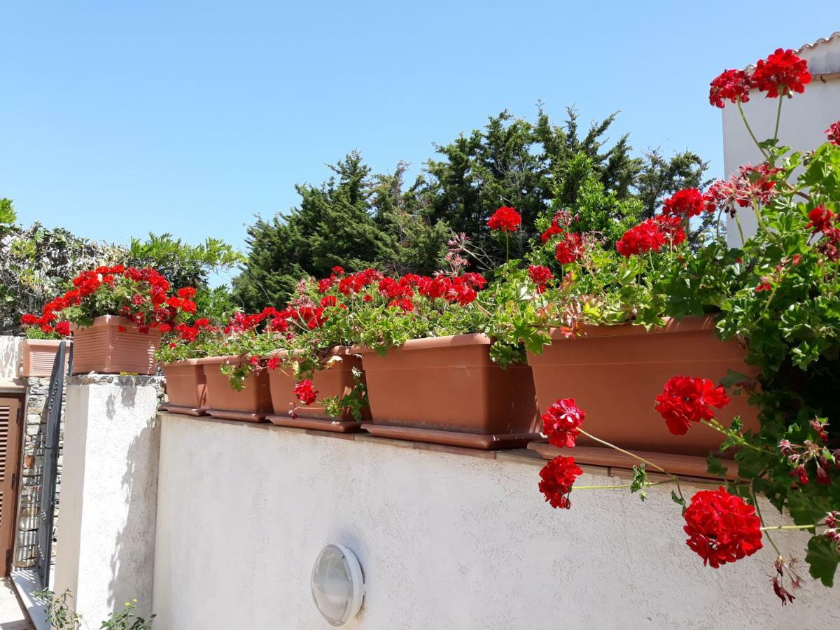 Apartmán Villino Messina San Vito Lo Capo Exteriér fotografie